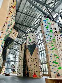 Wall to Wall Sunshine: Climb & Chill at Camp5 KL East
