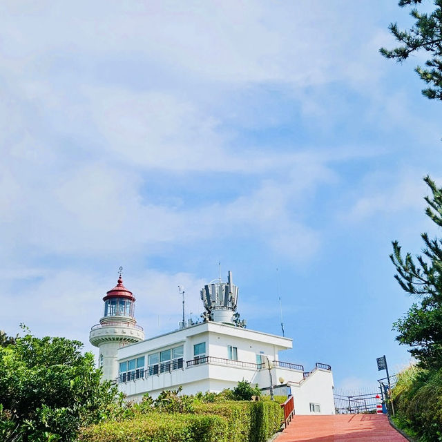 Educational Insights into Maritime Navigation