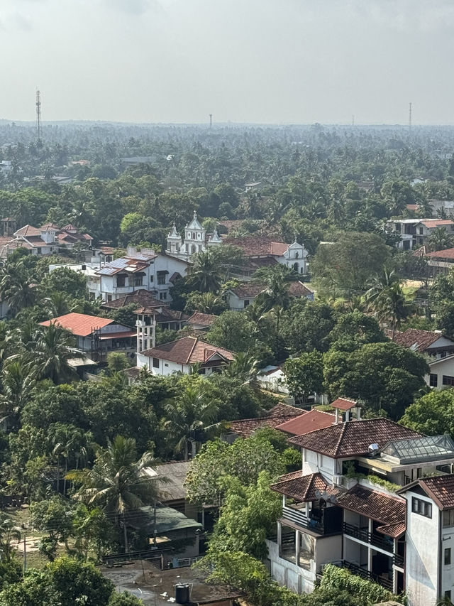 How to spend 6 days in Sri Lanka, country of Peacock