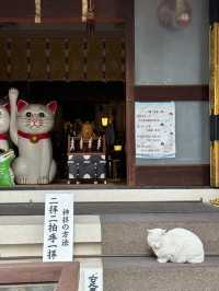 🚉 Nippori Morning Stroll Under RM30 – Old Tokyo Vibes & Fabric Finds!