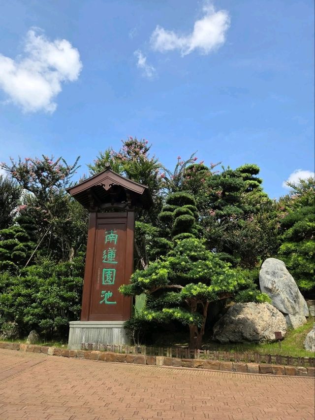 🌸 *“Tang‑Style Lotus Oasis in the City”*