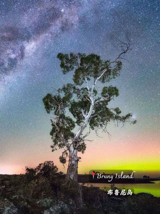 📍[Trip Moment Title]：Chasing the Southern Lights in Tasmania – A Magical Aurora Adventure! 🌌✨
