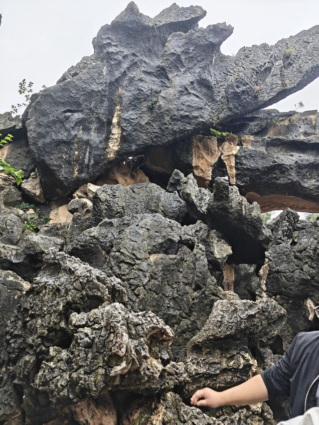 Yunnan Kunming Natural Stone Formation