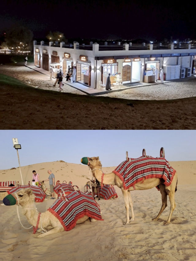 AI MARMOOM CAMP 📍DUBAI🐪✨