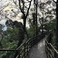 Xianji Rock Is a Little Hike with Big Energy