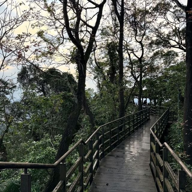 Xianji Rock Is a Little Hike with Big Energy
