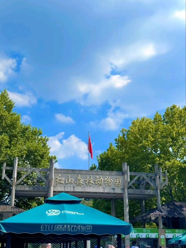 Hongshan Forest Zoo – Where Animals Reign Supreme