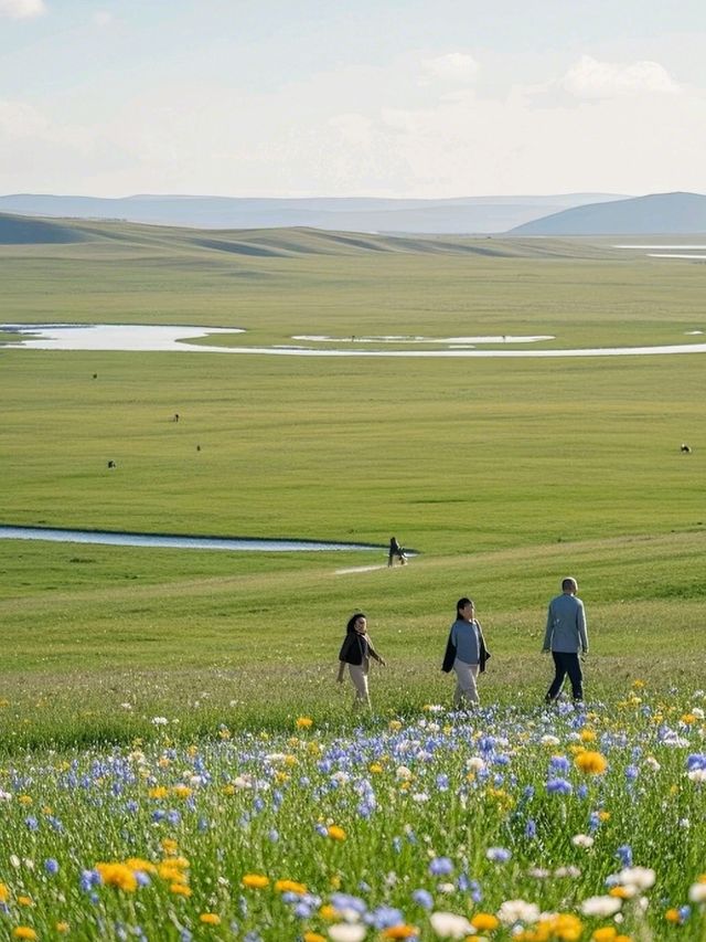 Step into the Steppe: Discover the Grasslands of Hohhot Step into the Steppe: Discover the Grasslands of Hohhot