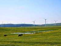 Whispers of the Wind: Exploring Huitengxile Grassland