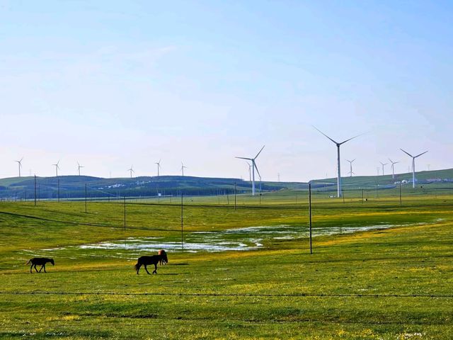 Whispers of the Wind: Exploring Huitengxile Grassland Whispers of the Wind: Exploring Huitengxile Grassland