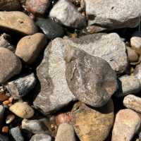 Falls of the Ohio State Park – "Where Fossils, River Views, and History Collide"