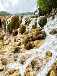 Into the Heart of Jiuzhaigou: The Pearl Shoal Experience