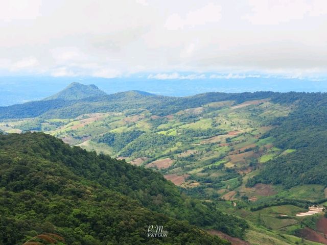 รับลมหนาว อุทยานแห่งชาติภูเรือ เลย
