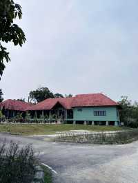 “Explore the Wonders of Paya Wetlands Sepang”