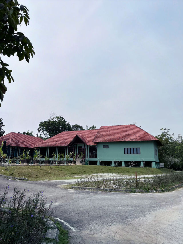 “Explore the Wonders of Paya Wetlands Sepang”