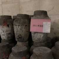 【中国 浙江省】紹興酒博物館で中国の酒文化を深堀り⚱️