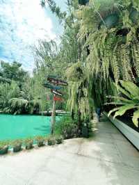 Avalon คาเฟ่สุดชิค