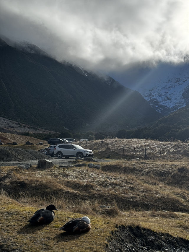 一篇文教你 紐西蘭冬天❄️庫克山（Mt Cook）行山攻略