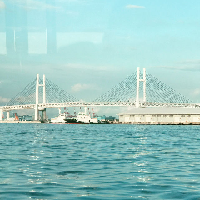 🚤 横浜シーバスでみなとみらいを海から満喫
