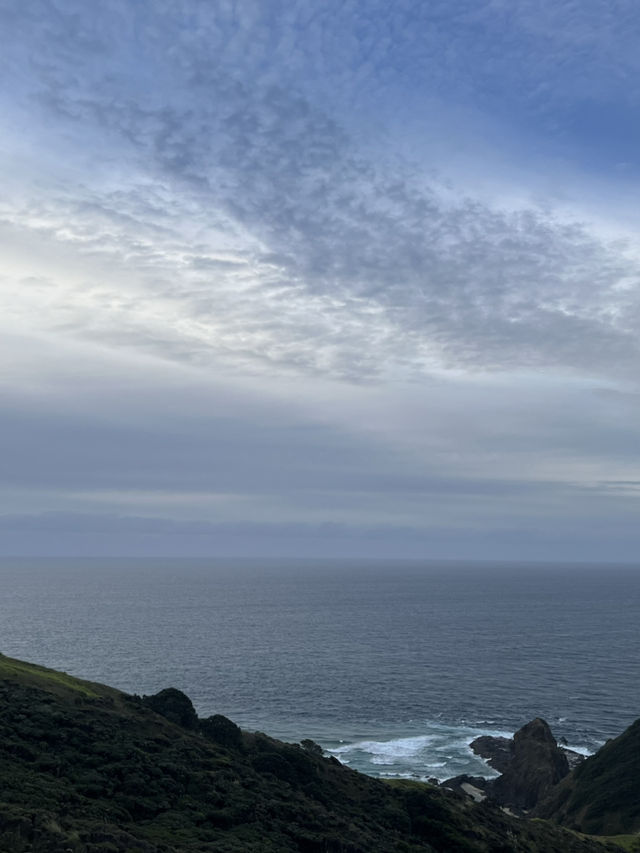 紐西蘭北島北燈塔 紐西蘭北島北燈塔