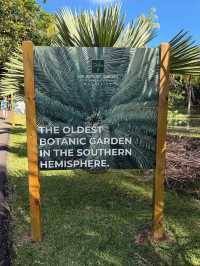 A Botanical Treasure at Pamplemousses Garden Pamplemousses