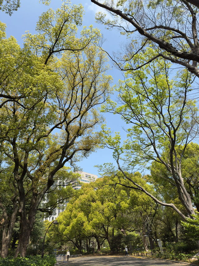  東京｜日比谷公園｜東京紅葉名所｜都會綠洲的秋日華彩