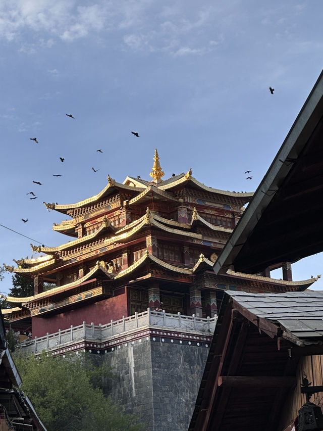 🌟【香格里拉夢幻之旅｜藏服聖地巡禮&秘境探索】✨