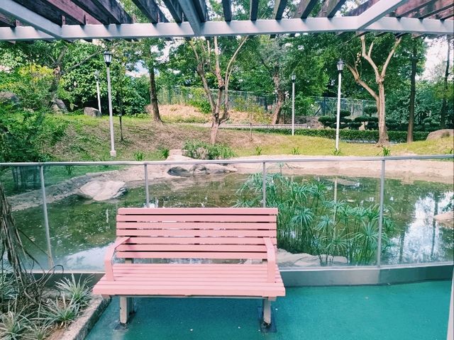 閒遊歌和老街公園 閒遊歌和老街公園
