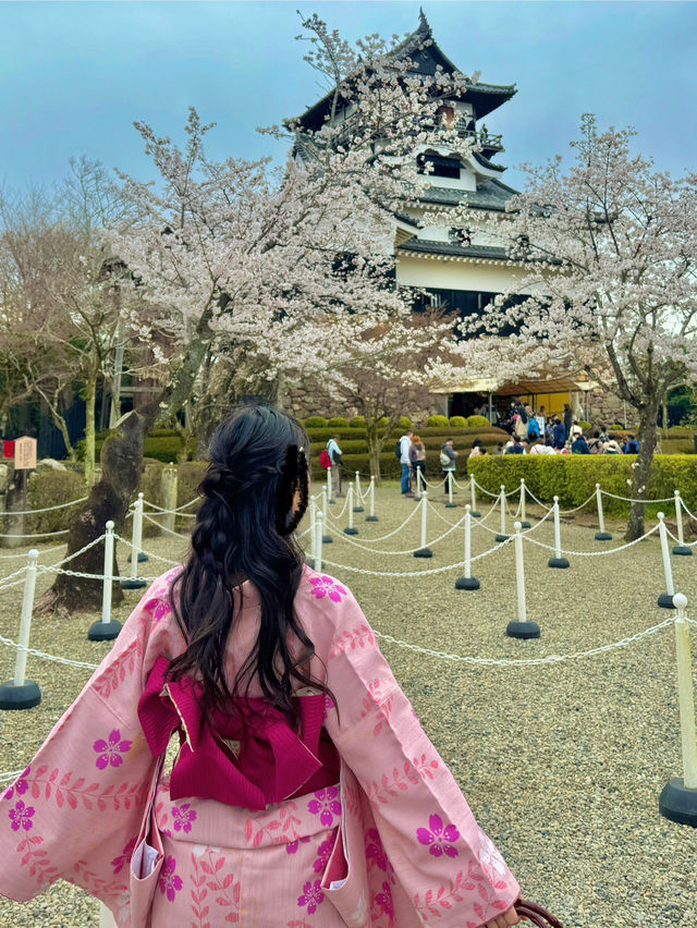 🏯 이누야마성에서 만난 일본 전통 감성 🌿