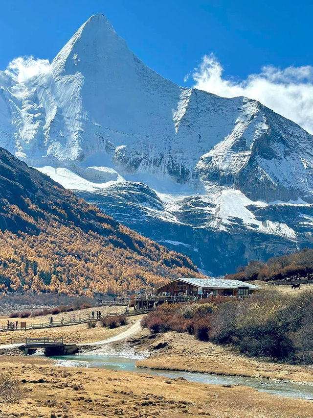 Autumn in A’ding, Daocheng – Chengdu 🍁