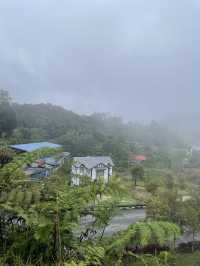 Cameron Highlands - city in the mist