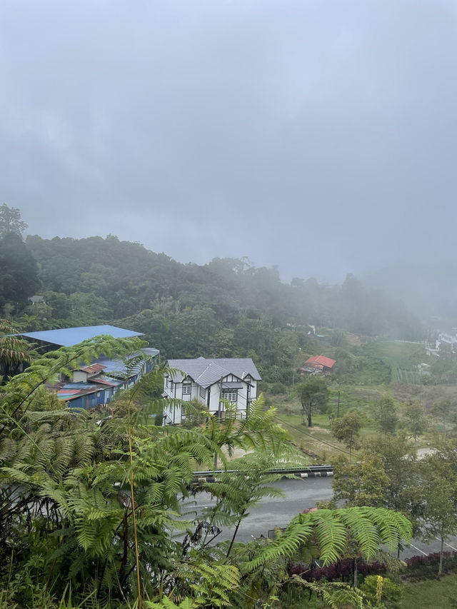 Cameron Highlands - city in the mist