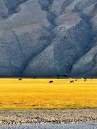 ✨ Southern Xinjiang – a symphony of mountains, grasslands, and endless skies ✨