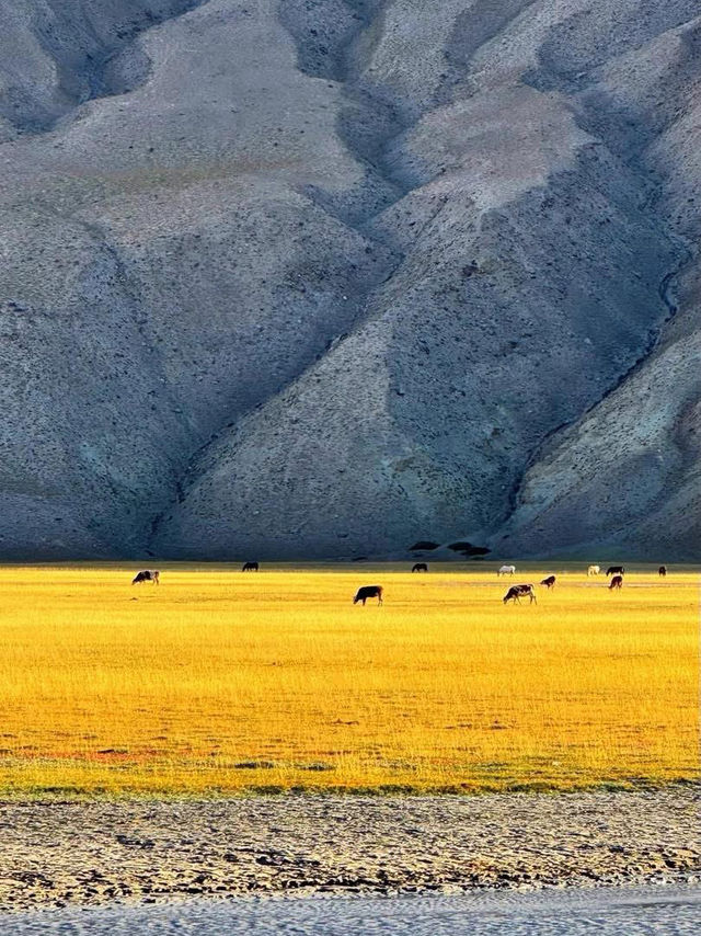 ✨ Southern Xinjiang – a symphony of mountains, grasslands, and endless skies ✨