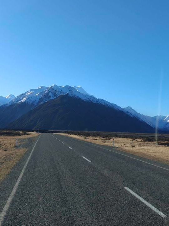 紐西蘭🇳🇿真是 CHILL 紐西蘭🇳🇿真是 CHILL