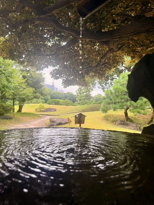 東京｜東京最美的清澄庭園 三菱創辦人的插柳成蔭