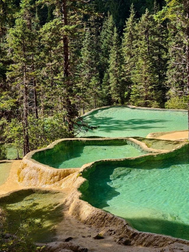 Fairyland of Golden Pools