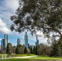 My Reflective Journey at the Shrine of Remembrance