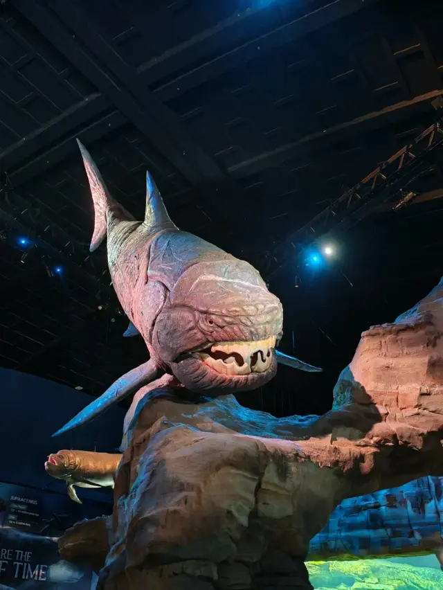 Singapore Oceanarium – An Underwater Wonderland