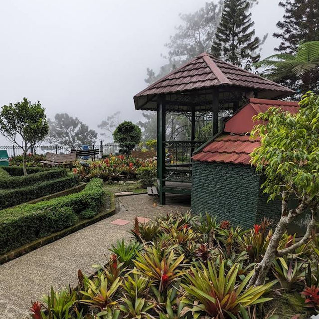 Talking Garden @ SkyAvenue Genting – Whispering Leaves & Interactive Green Spaces