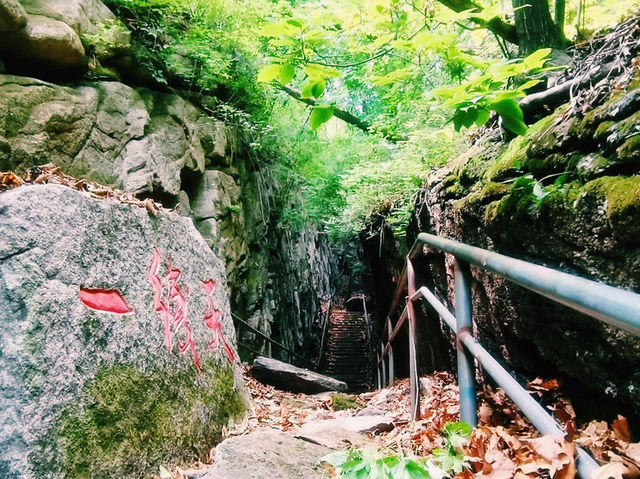 和睦森林公園🇨🇳