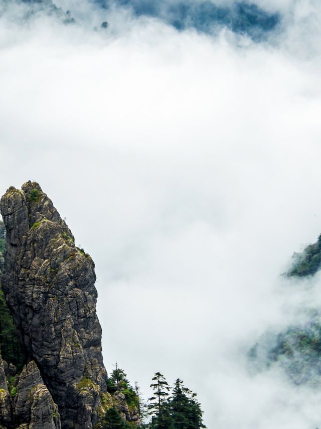 SHENONGJIA TRIP SHENONGJIA TRIP