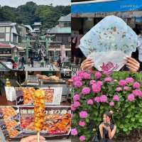  Discover the Timeless Charm of Kamakura & Enoshima Near Tokyo