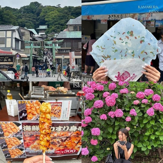  Discover the Timeless Charm of Kamakura & Enoshima Near Tokyo