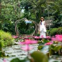 Paradise KohYao