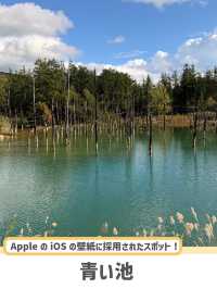 【北海道】幻想的すぎる青の世界🏞✨