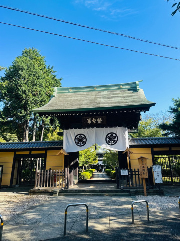 世田谷】🐈幸運の招き猫だらけ✨ | Trip.com 東京