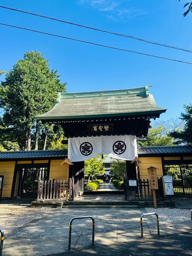 【世田谷】🐈幸運の招き猫だらけ✨