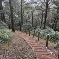 Halla Arboretum, Jeju Island,S.Korea