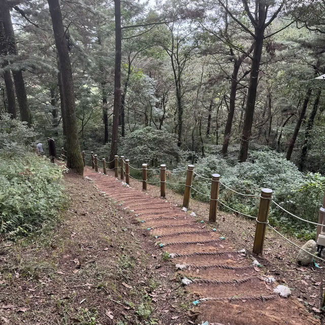 Halla Arboretum, Jeju Island,S.Korea